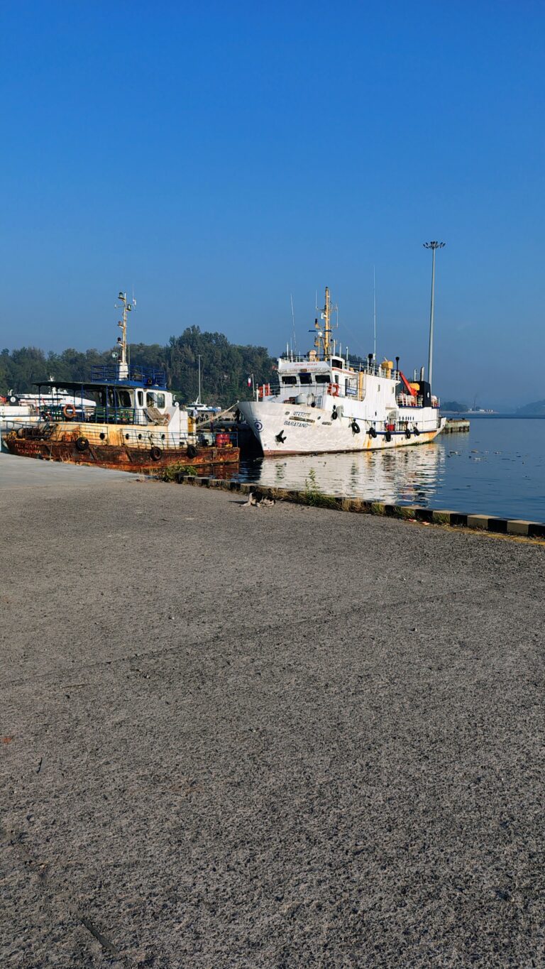 IMG_20250315_064000372_HDR_AE (1)