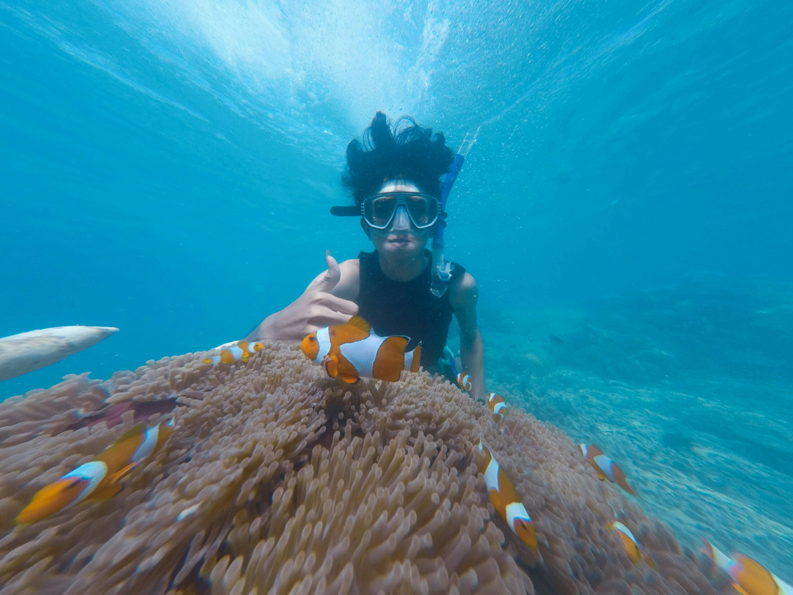 Snorkeling scaled