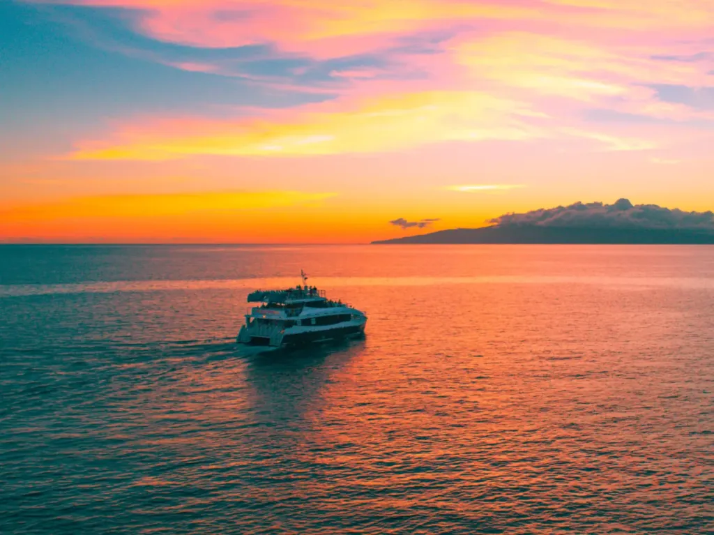Sunset Zoom Calypso scaled 1