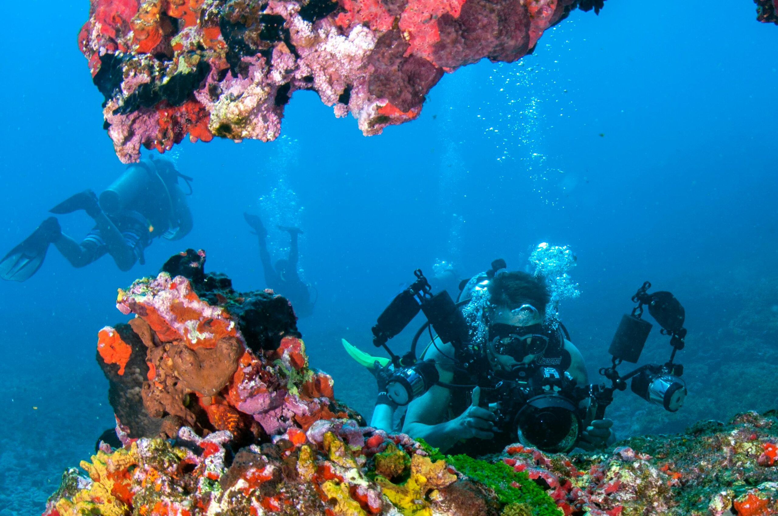 scuba diving scaled