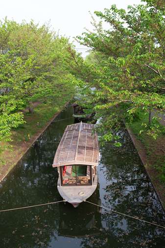 touring shikara boat canal_11zon