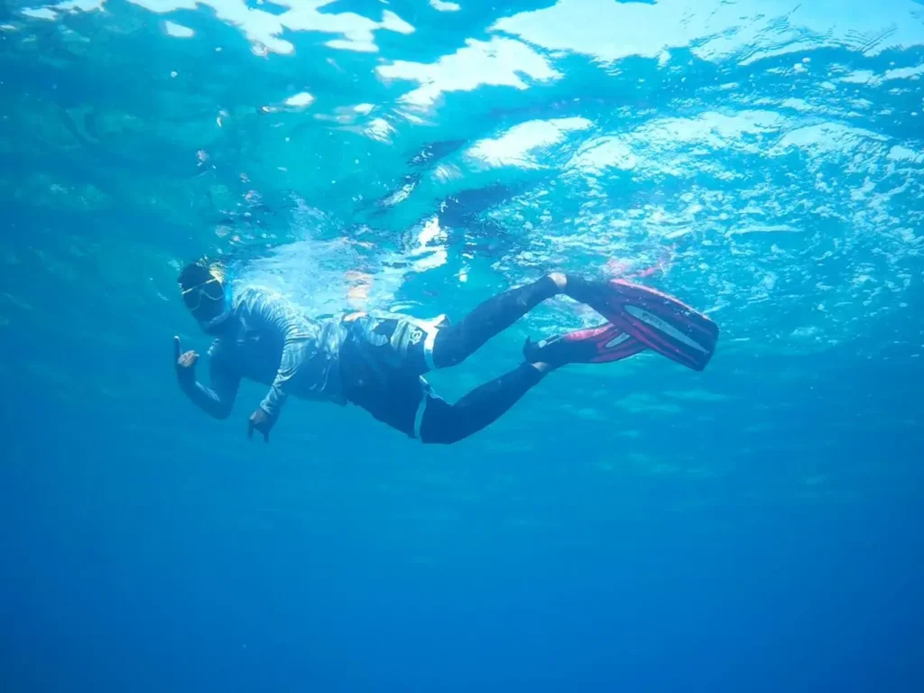 Snorkeling at Nemo Reef