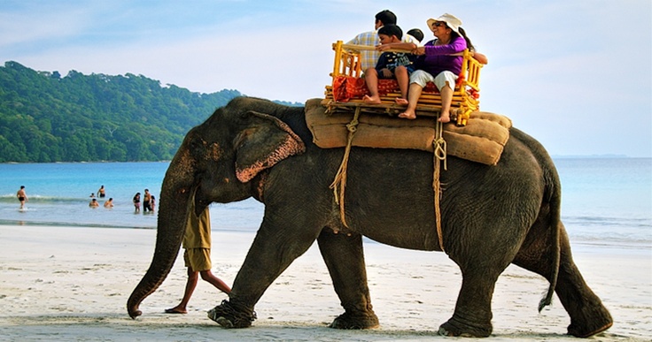 Elephant ride at Baludera Beach