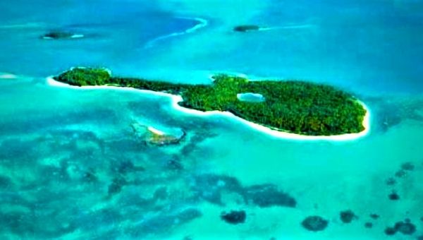 Guitar Island image