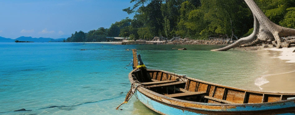Merk Bay Beach image