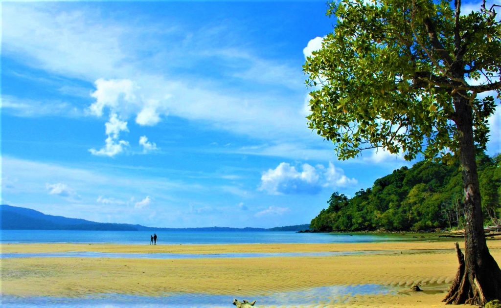 Pathi Level Beach image