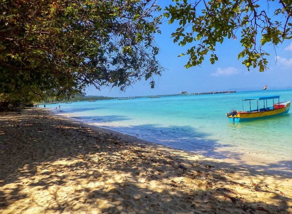 Scenic beach view at Neil Island Andaman with a yellow boat anchored in clear turquoise waters under tree shad