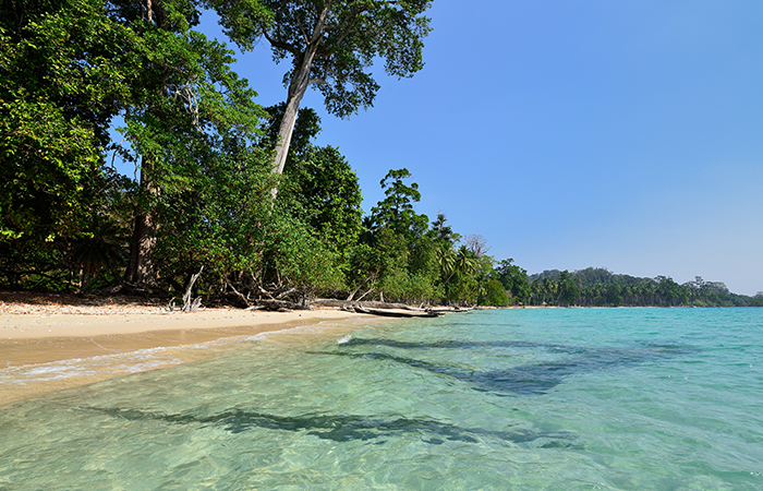 Ram nagar beach image