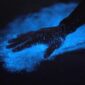 Bioluminescent beach in Andaman glowing blue under touch, showcasing natural marine light phenomenon at Havelock.