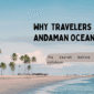 Scenic Andaman beach view with palm trees and blue waters used as blog header for Andaman Ocean Hills article on why travelers choose their holiday packages.