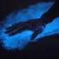 Bioluminescent beach in Andaman glowing blue under touch, showcasing natural marine light phenomenon at Havelock.